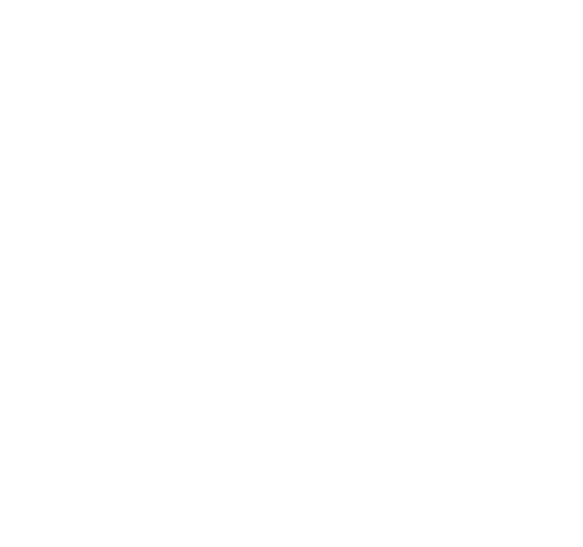 PRO MG